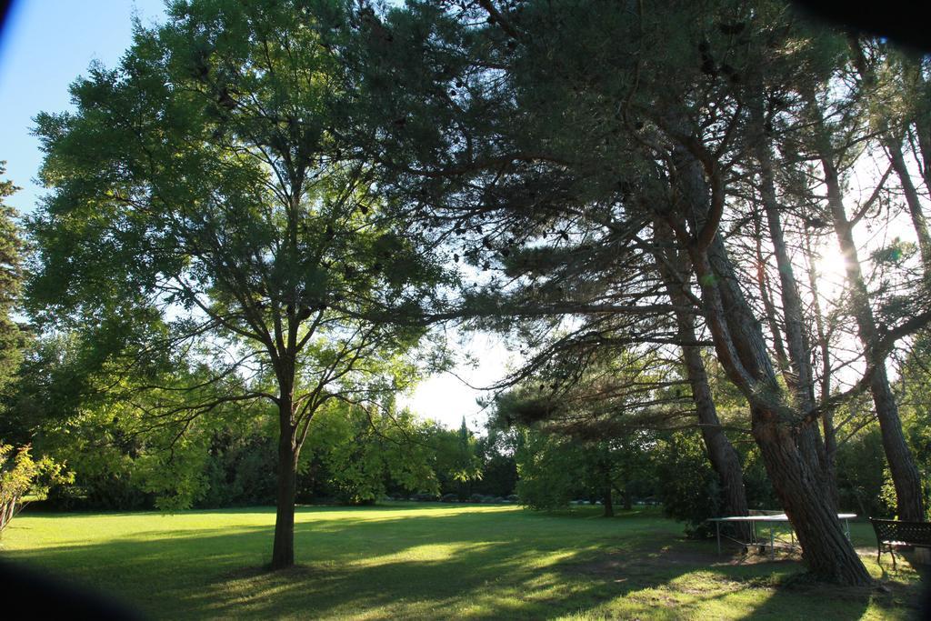 Mas La Provence Bed & Breakfast L'Isle-sur-la-Sorgue Luaran gambar